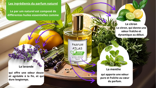 Parfum ATLAS